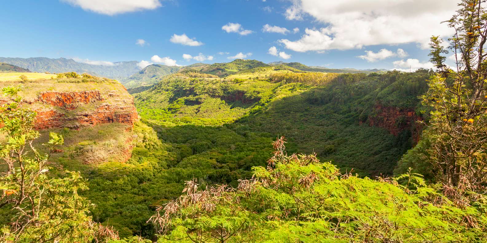 The BEST Hanapepe Summer activities 2023 FREE Cancellation GetYourGuide