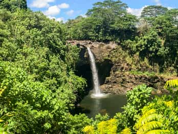 Rainbow Falls Tours & Tickets