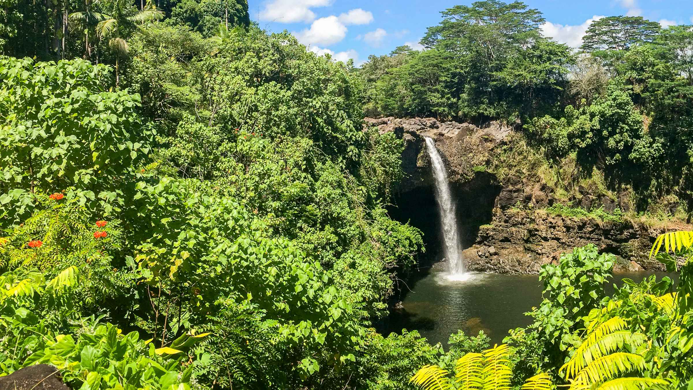 Rainbow Falls, Hilo Book Tickets & Tours GetYourGuide