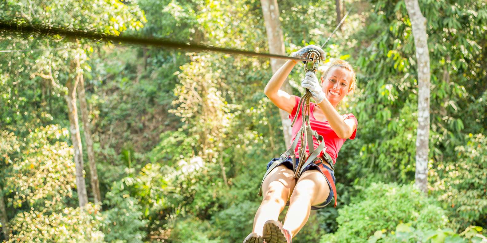 Foxfire Mountain Adventure Park, Sevier County, Tennessee - Book