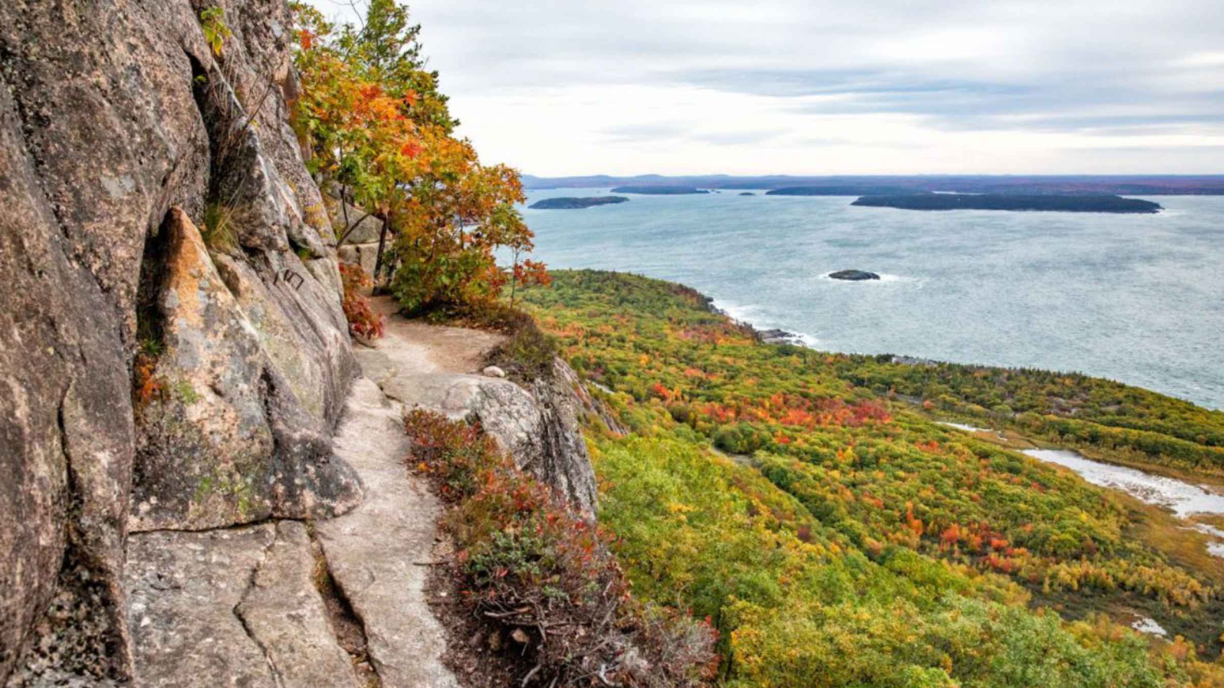 national park tours acadia