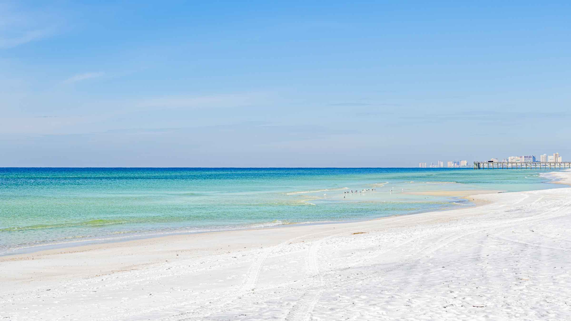 The BEST Panama City Beach Tours & Things to Do 2022 FREE