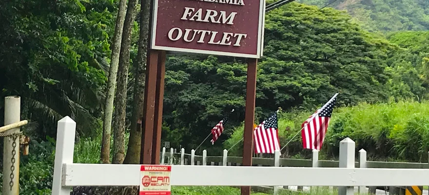 Tropical Farms Macadamia Nuts, Oahu
