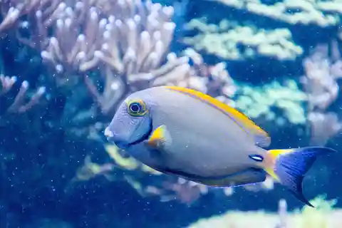 6. SEA LIFE San Antonio