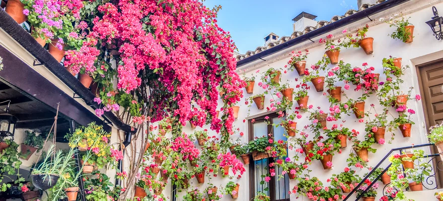 Patios de Córdoba