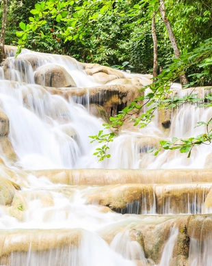 Dunns River Falls & Park