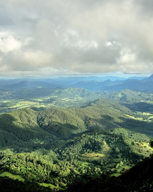 Springbrook National Park