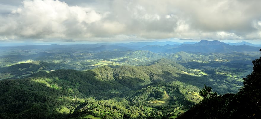 Parque Nacional Springbrook Gold Coast Reserva De Entradas Y Tours