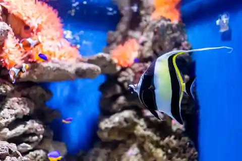 6. Lanzarote Aquarium