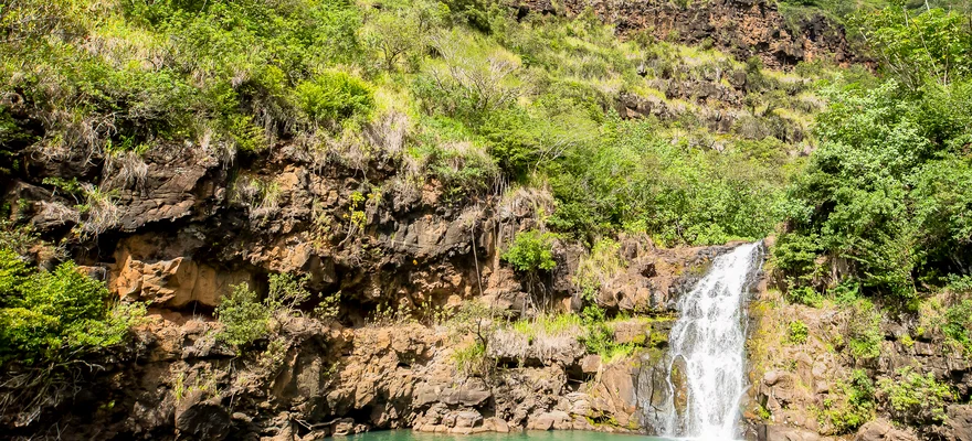 Waimea Valley