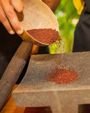 The Mayan Cacao Company