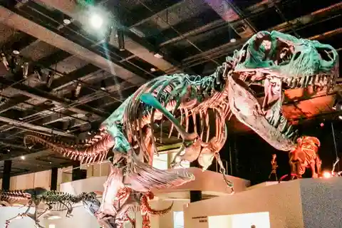 3. Houston Museum voor Natuurwetenschappen