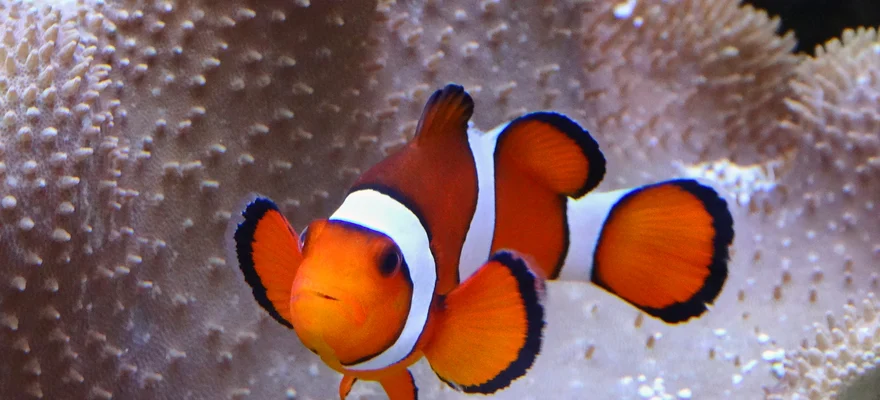 SEA LIFE Munich