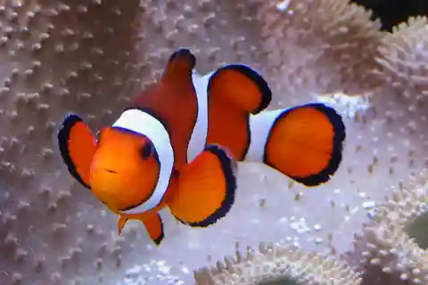 5. Sea Life München