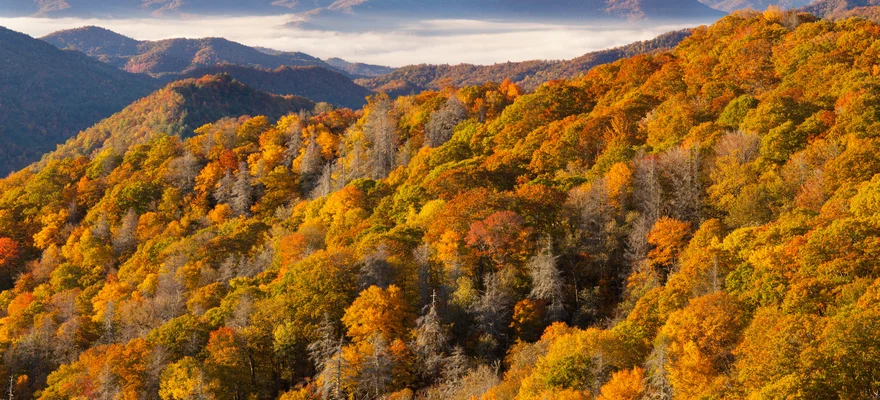 Great Smoky Mountains National Park