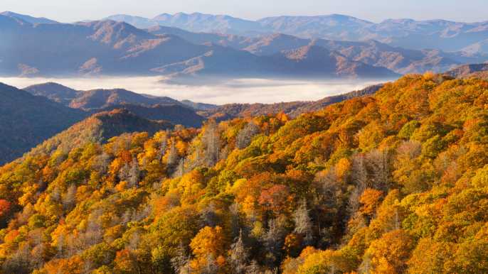 A Smoky Mountains Itinerary for Every Type of Traveler & Everything Else you  Need to Know!
