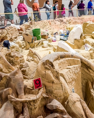 The Mammoth Site