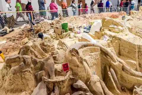 2. The Mammoth Site