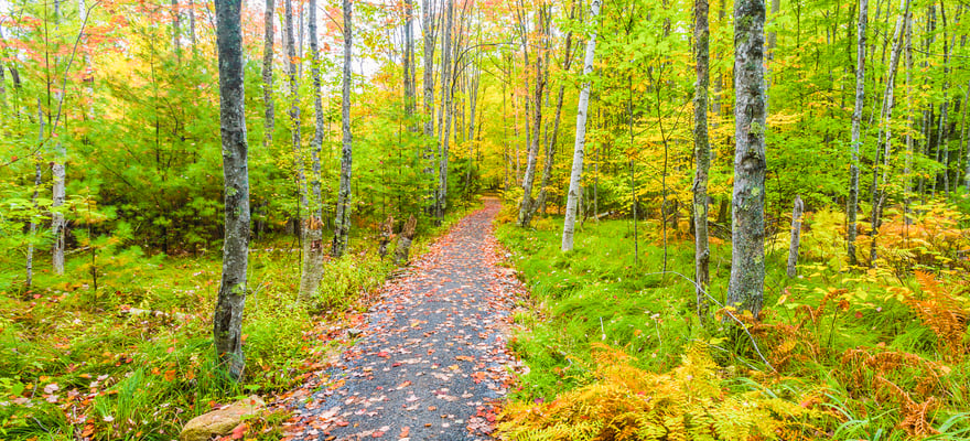 Sieur De Monts Nature Center, Mount Desert - Tickets & Eintrittskarten ...