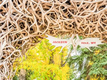 Jackson Town Square Tours & Tickets
