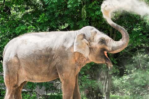 ハーゲンベック動物園のチケットとアクティビティ