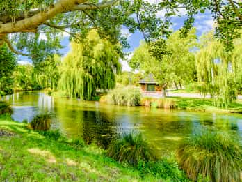 Avon River Tours & Tickets