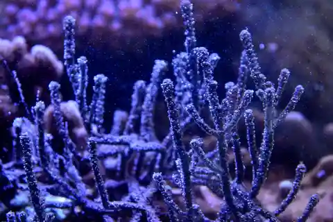 3. Aquarium Lyon