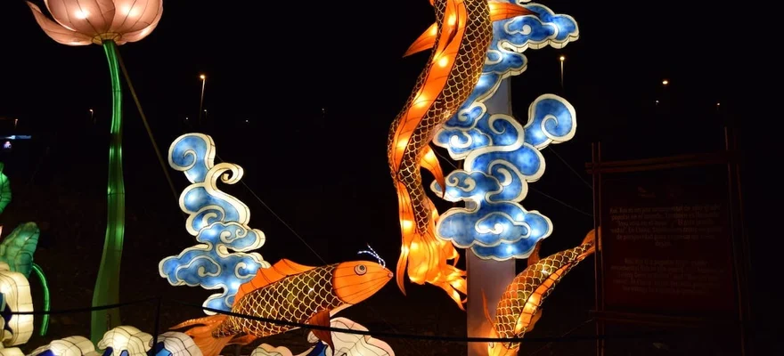 Chinese Lantern World