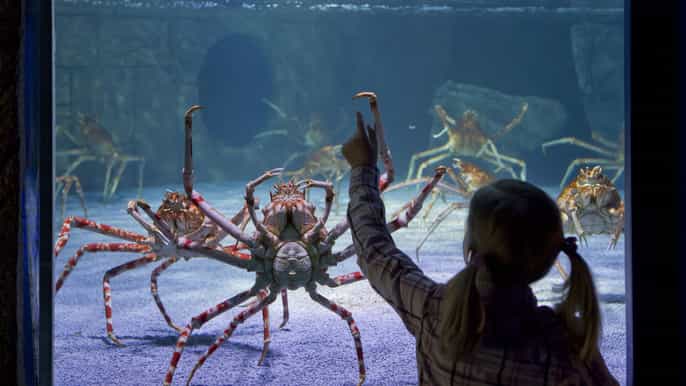 Schleswig Holstein 2021 Top 10 Touren Aktivitaten Mit Fotos Erlebnisse In Schleswig Holstein Deutschland Getyourguide