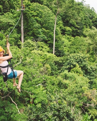 Tree Bridge Zipline
