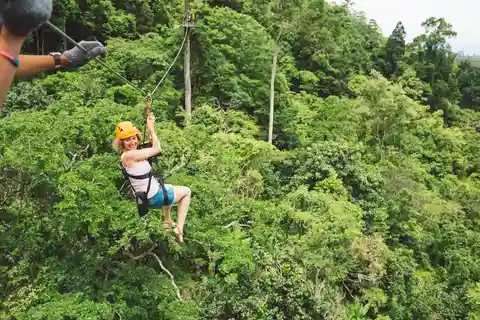 1. Zipline du pont de l'arbre