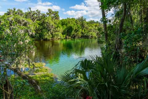 Up close with Florida manatees at Blue Spring State Park, a nature-made,  Orlando-area retreat 