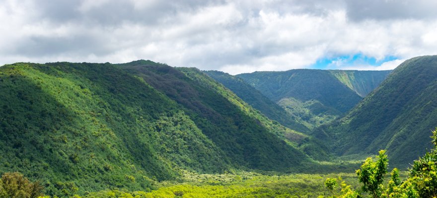 Kohala Mountains, Island of Hawaii