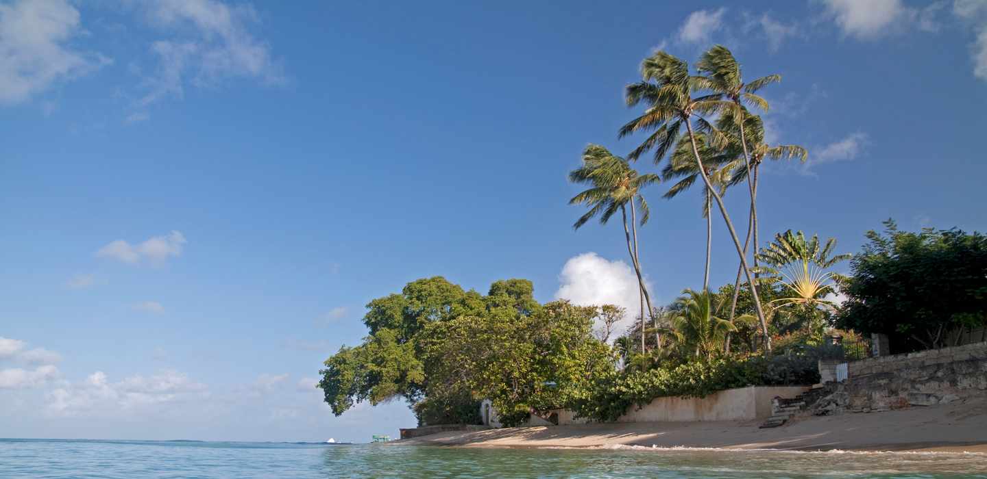 The BEST Gibbes, Barbados Snorkeling 2024 FREE Cancellation