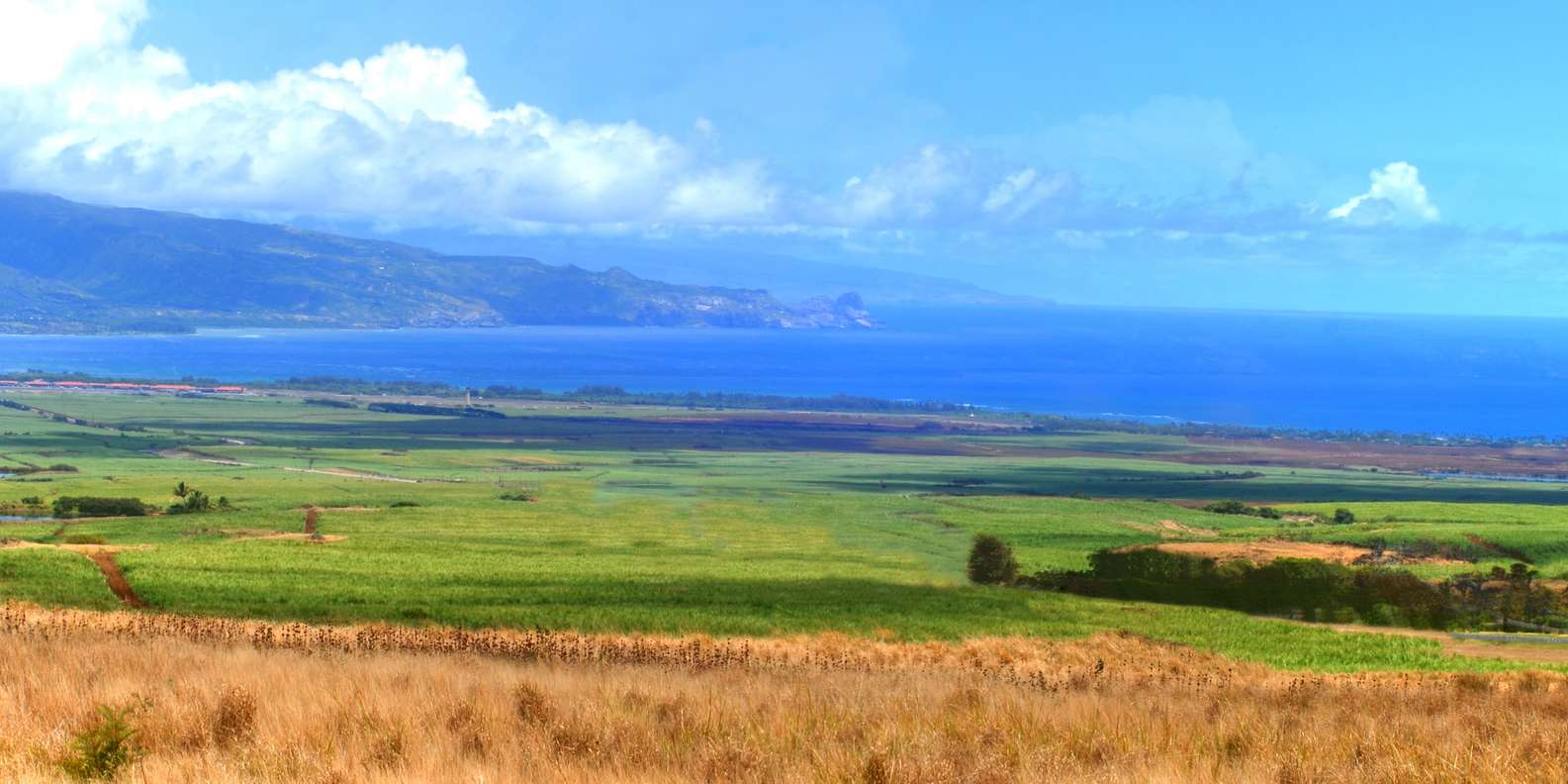 Pukalani, Hawái Actividades veraniegas lo MEJOR de 2024 Cancelación