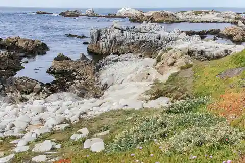 2. Asilomar State Beach, Pacific Grove