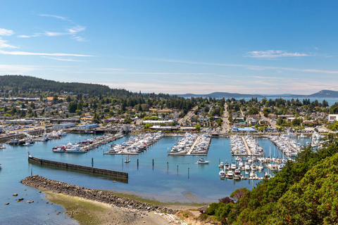 Anacortes: Dolphin & whale watching