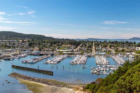 Anacortes: Dolphin & whale watching