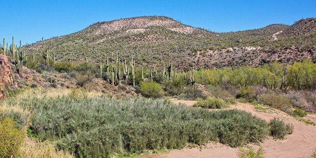 Rivière Verde, Arizona