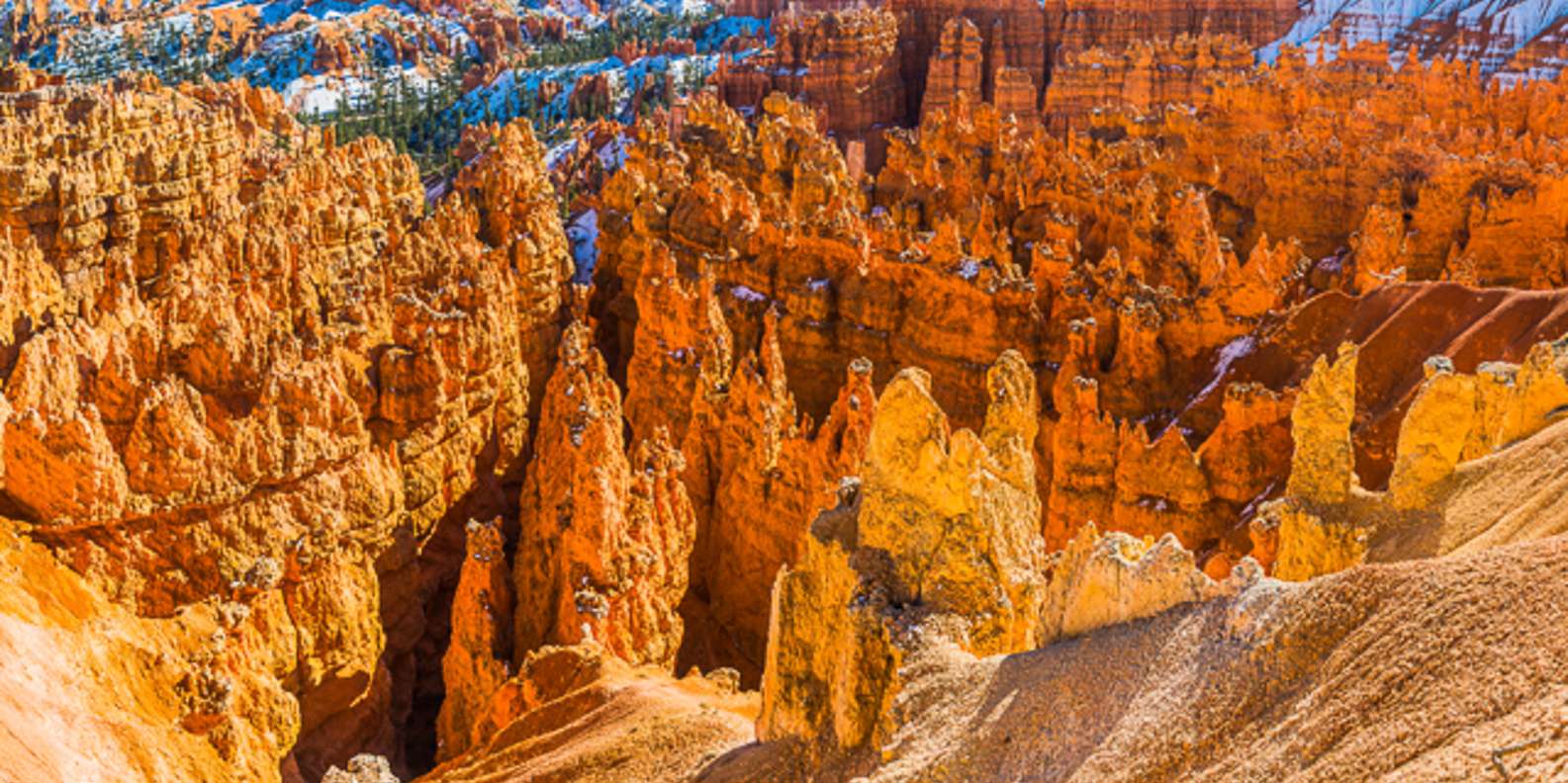 The Best Ponderosa Canyon Bryce Canyon National Park Self Guided Activities 2023 Free 4012