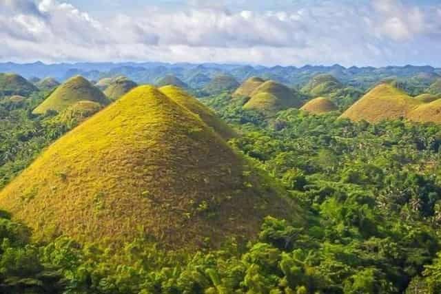 The Best Chocolate Hills Zoos 2024 Free Cancellation Getyourguide