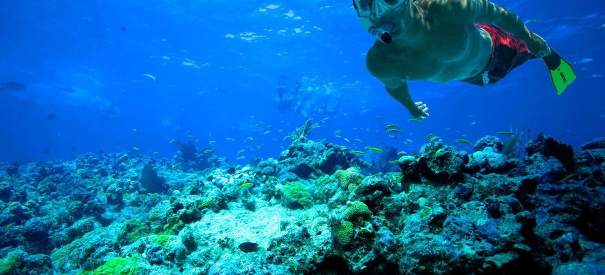 Florida Keys National Marine Sanctuary