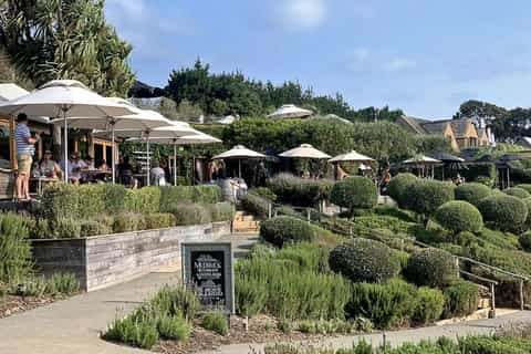 Mudbrick Restaurant and Vineyard, Waiheke Island - Book Tickets 