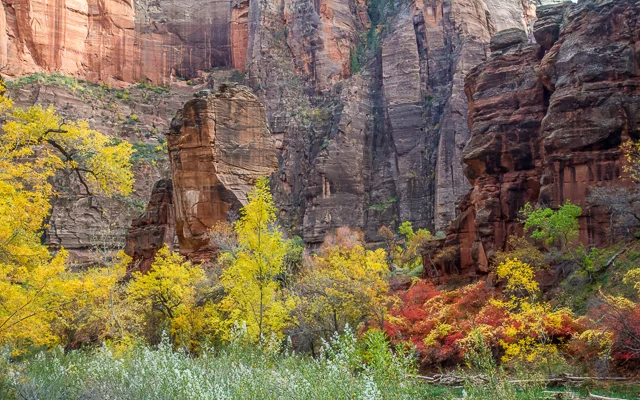 Temple of Sinawava, Zion National Park