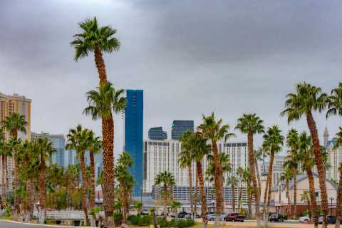How to get to Mandalay Bay Resort and Casino in Paradise by Bus?