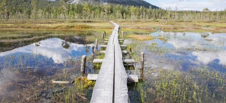 Pyhä-Luosto Nationalpark
