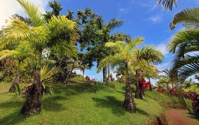 Les meilleures activités à Haïku