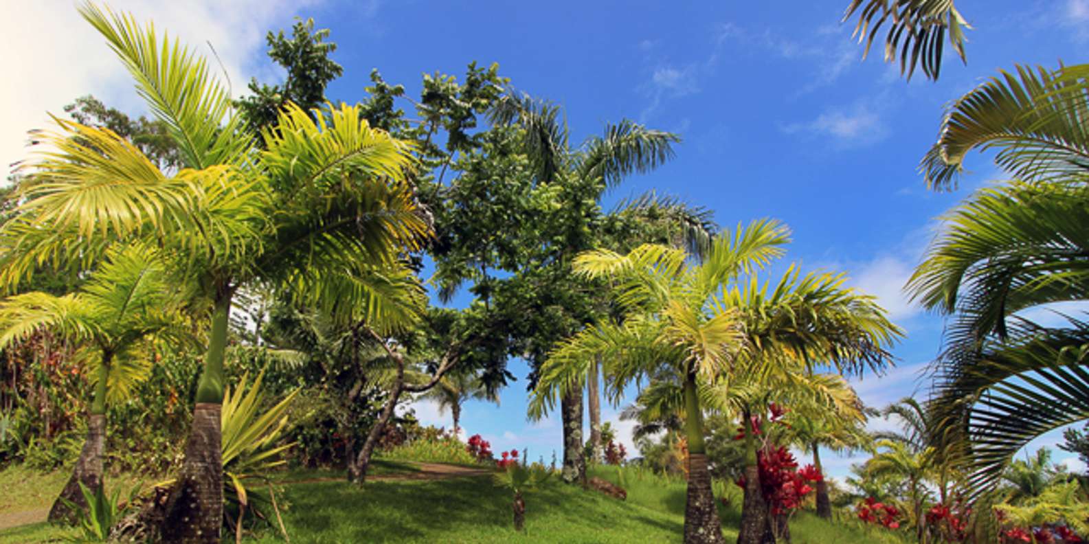 the-best-haiku-hawaii-outdoor-activities-2023-free-cancellation
