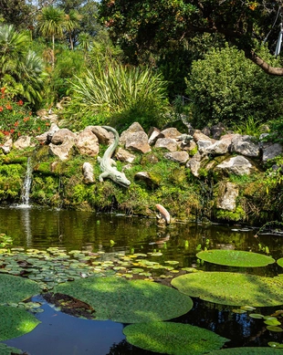 Giardini la Mortella