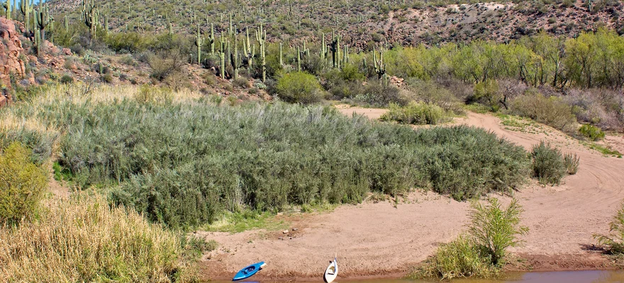 Río Verde, Arizona